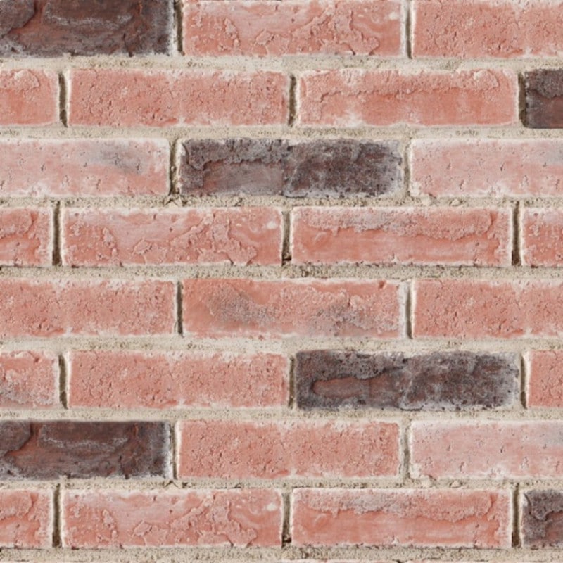 コアブリック レッド(19) ケース　送料無料