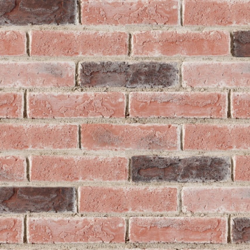 コアブリック レッド(19) ケース　送料無料