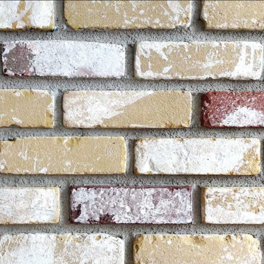 レンガ壁用　アンテウォール 907 バラ