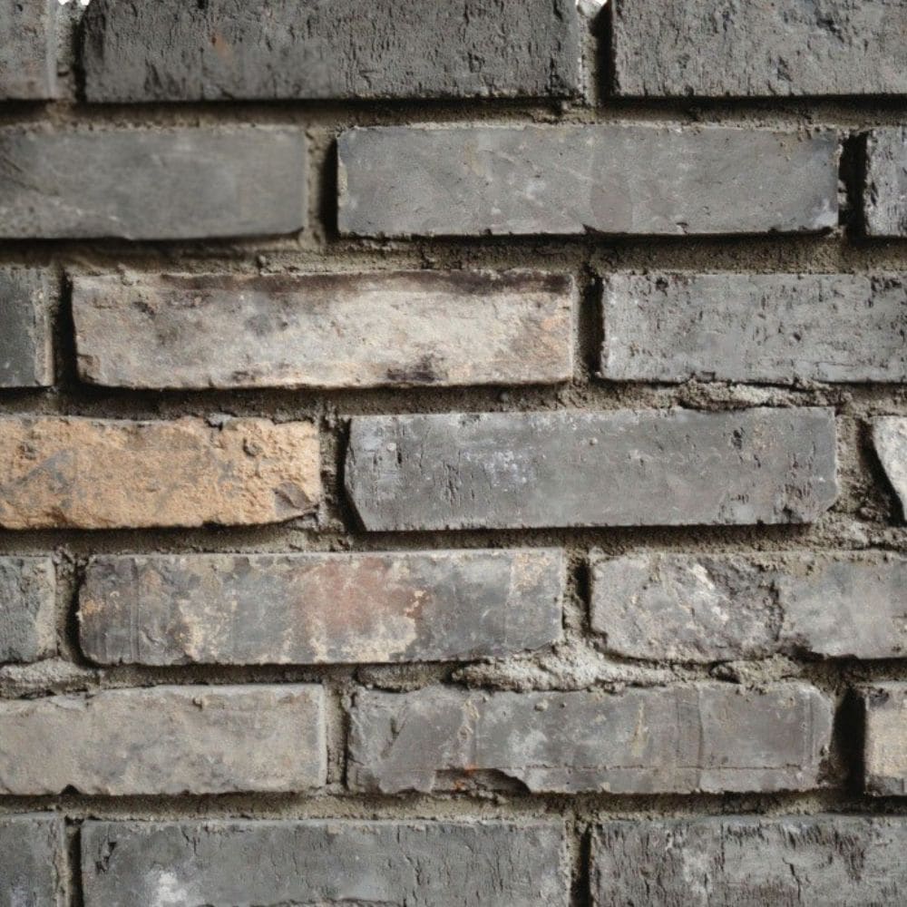 レンガ壁用　アンテウォール EC22  バラ