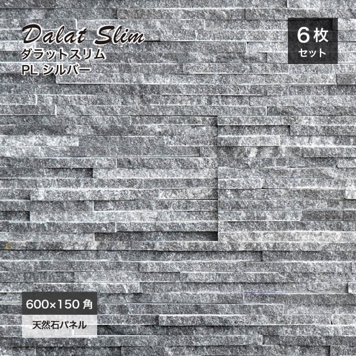 ダラットスリム リーフ PLシルバー ケース（6枚入）