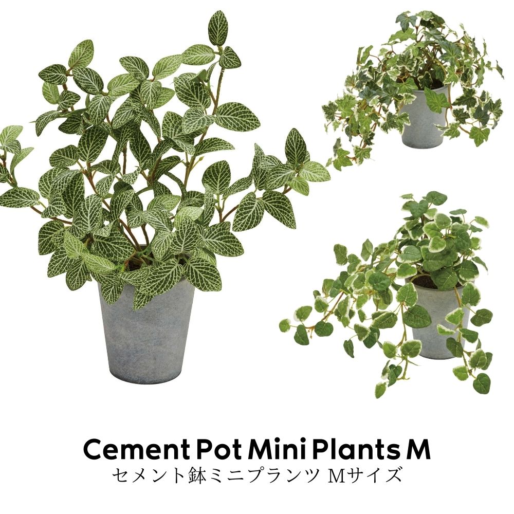 セメントポットミニプランツＭサイズ