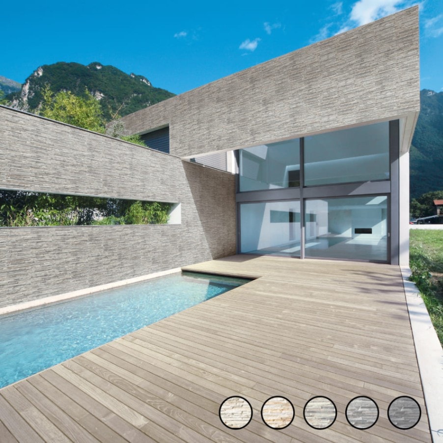 ロックハート 全5色 ケース（16枚入）