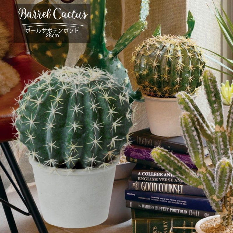 ボールサボテンポット0.28cm