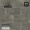 ミレトス 600×300角 外床/内床 D93 ケース(6枚入)|タイル|床材