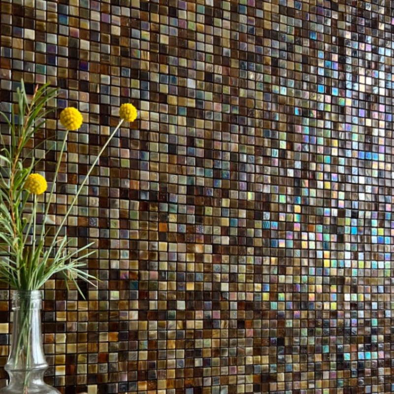 オーロラ 543 ブラウンシェル 1枚