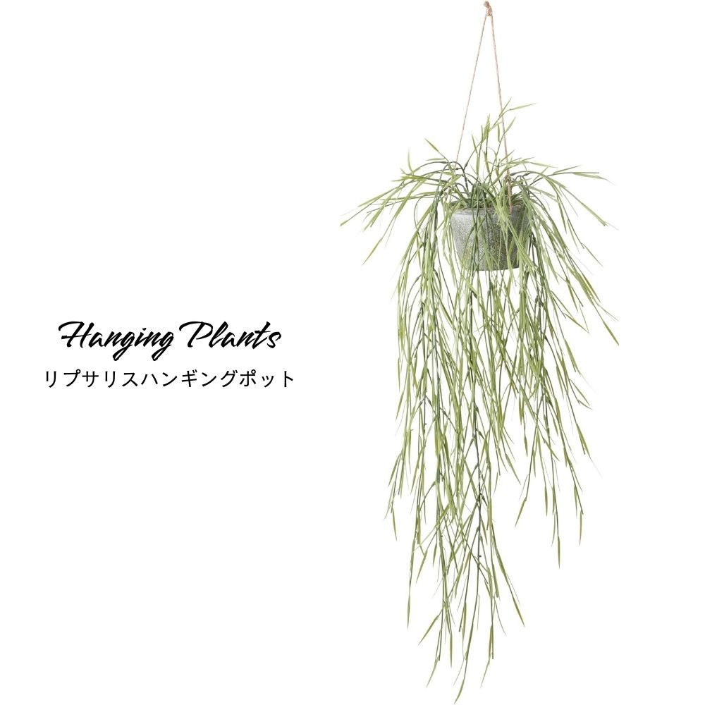 壁掛け インテリアグリーン 吊るして飾る ハンギング グリーン アーティフィシャル(リプサリスハンギングポット)