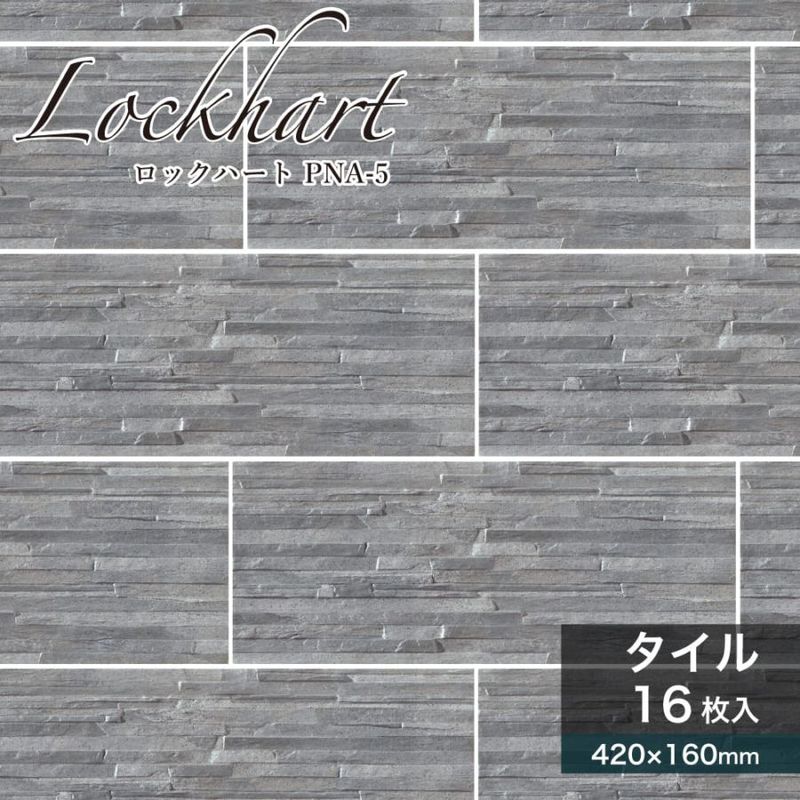 ロックハートPNA-5ケース（16枚）