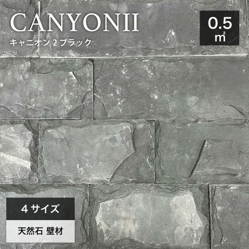 キャニオン２ ブラック 92