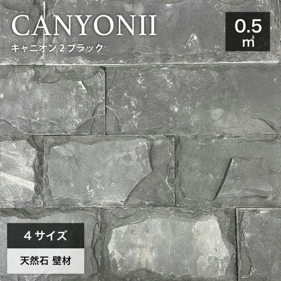 キャニオン２ ブラック 92