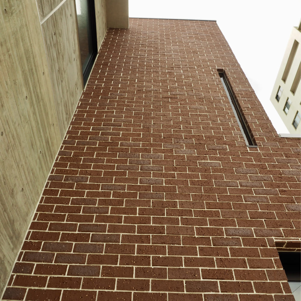 スコッツ　全３色 ケース　22枚入