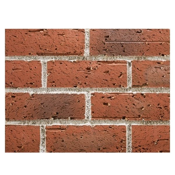 スコッツ　全３色 ケース　22枚入