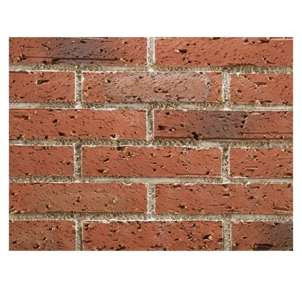 スコッツ  ハーフ　ケース(48枚入)