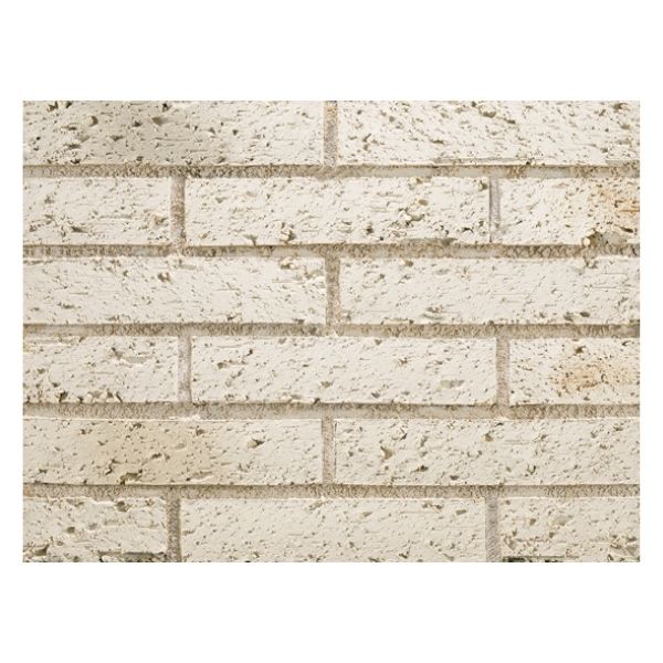 スコッツ  ハーフ　ケース(48枚入)