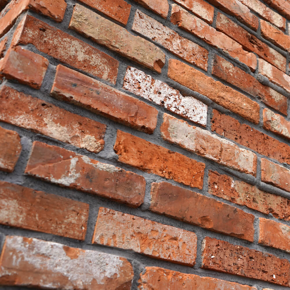 レンガ壁用　アンテウォール EC11 バラ