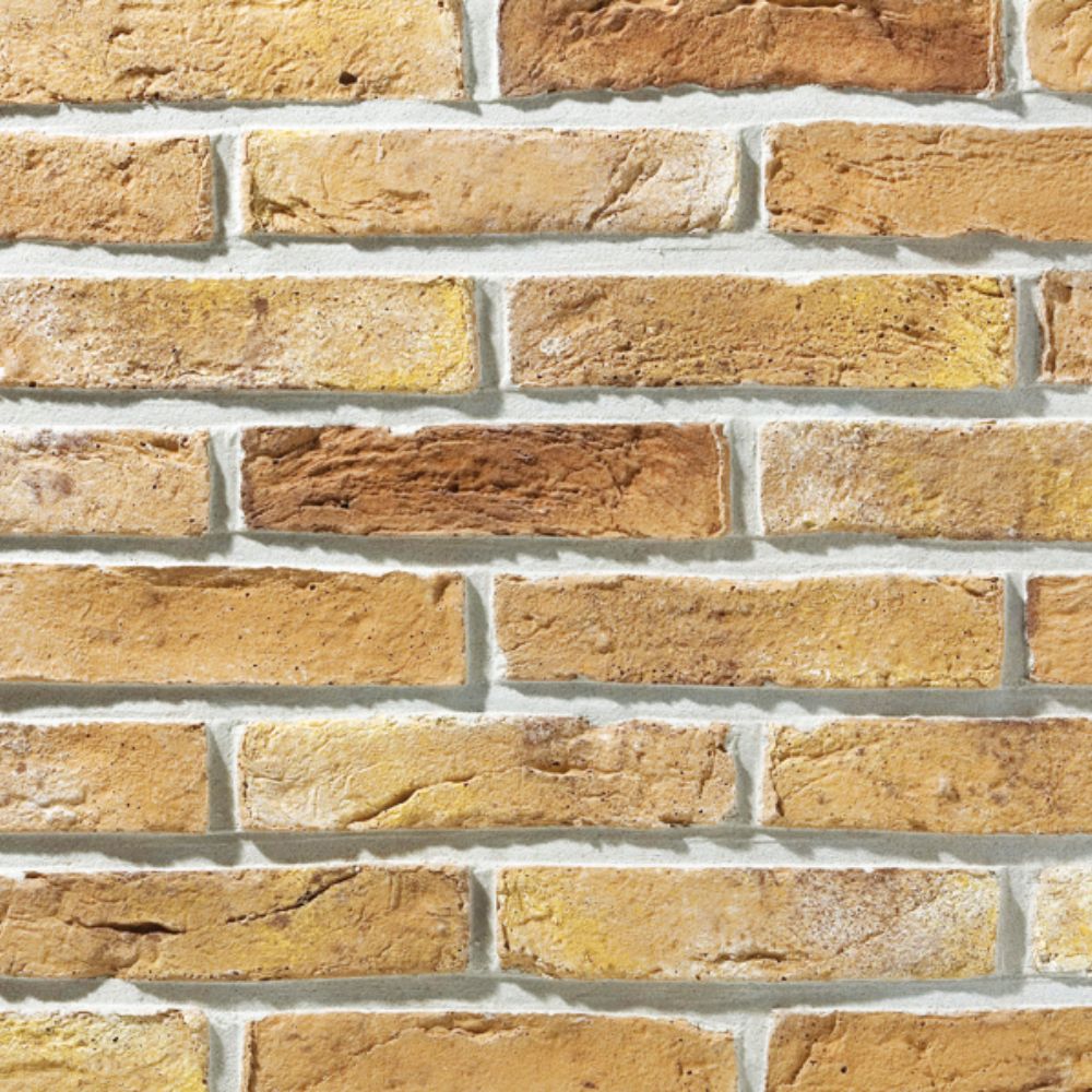 ブリックレーン 全色 ケース(80枚)