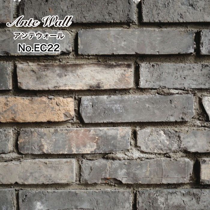 レンガ壁用　アンテウォール EC22  バラ