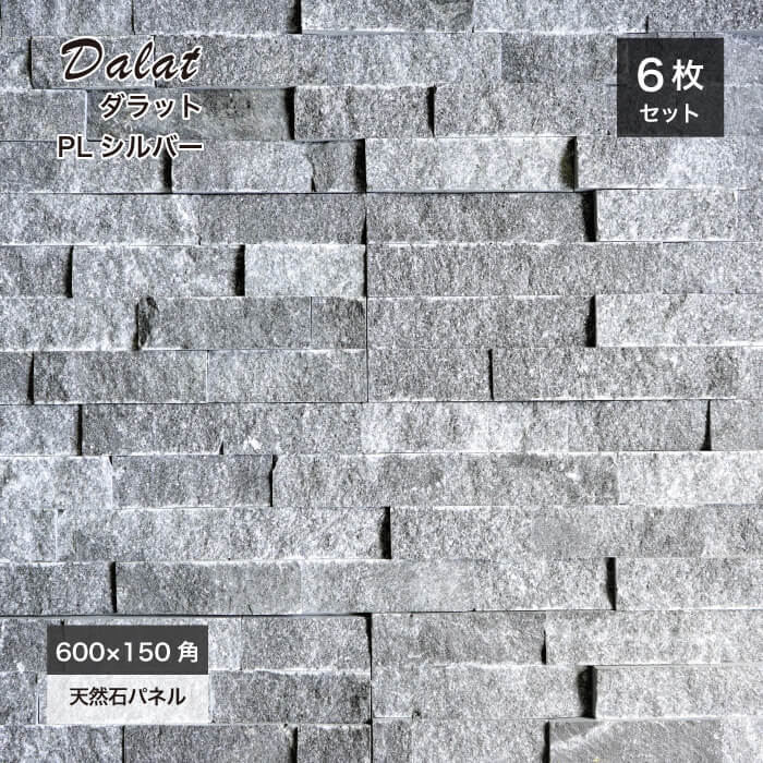 ダラット モネ PLシルバー ケース（6枚入）