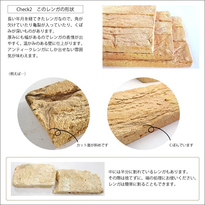 レンガ壁用　アンテウォール 1903 バラ