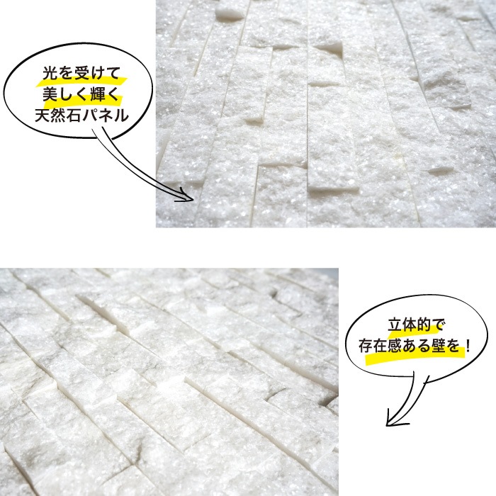 ダラット モネ TIホワイト ケース（6枚入）