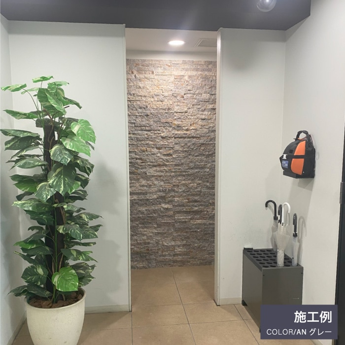 ダラット モネ ANグレー ケース（6枚入）