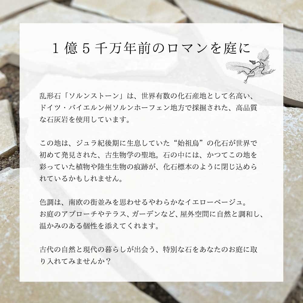 ソルンストーン 乱形石 1束販売 約0.5平米分