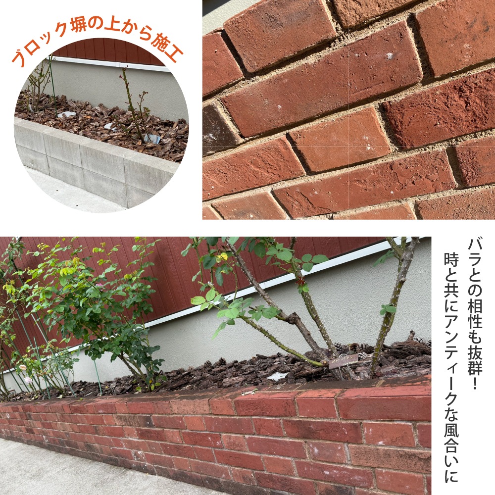 エプソム全色　大　小 ケース