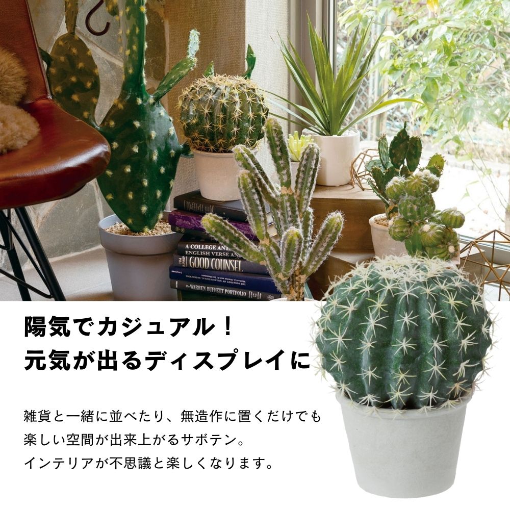 ボールサボテンポット0.28cm