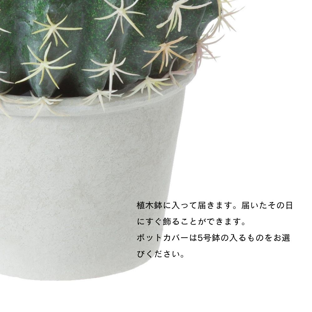 ボールサボテンポット0.28cm