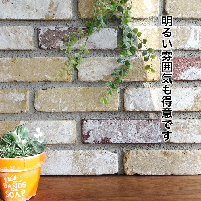 レンガ壁用　アンテウォール 907 バラ