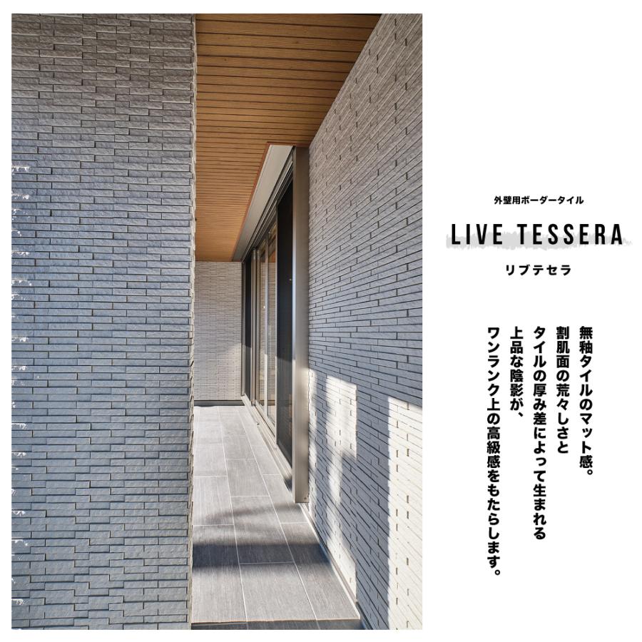 リブテセラ 全5色 平物・役物 ケース（12枚入）