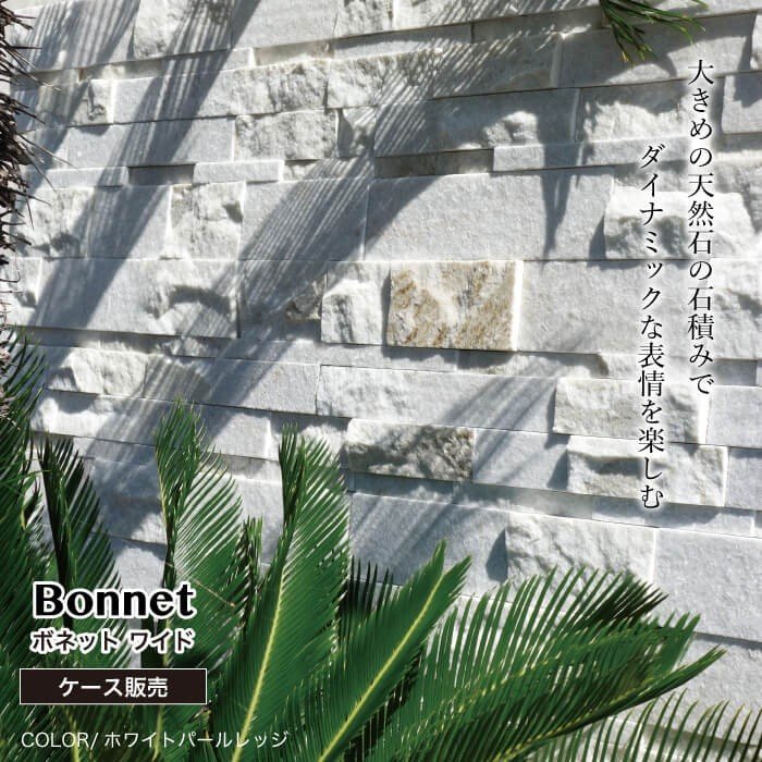 ボネット ワイド ホワイトパールレッジ ケース（6枚入）