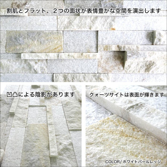 ボネット ワイド ホワイトパールレッジ ケース（6枚入）