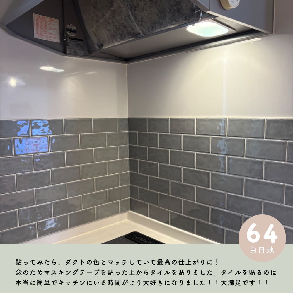 ランス がっちりシールタイプ 白/黒目地