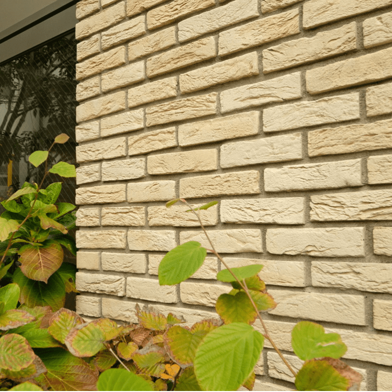 コアスライス 全色 ケース　送料無料