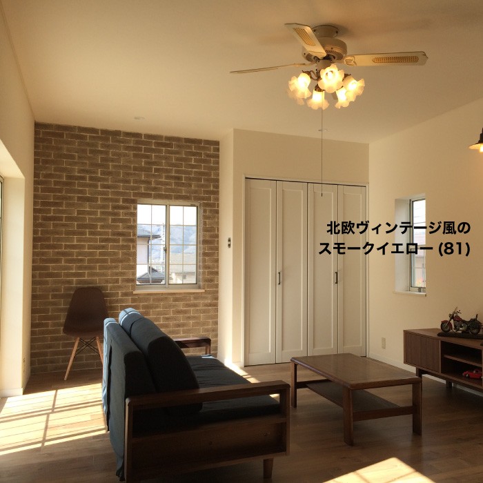 コアブリック 全色 ケース