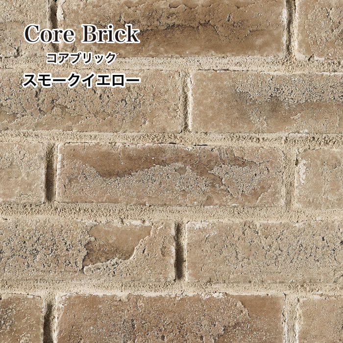 コアブリック 全色 ケース