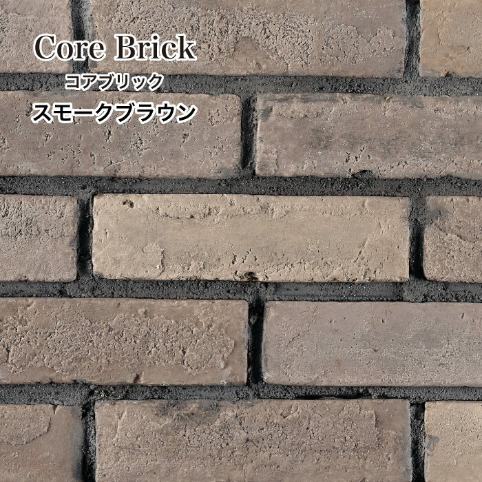 コアブリック 全色 ケース