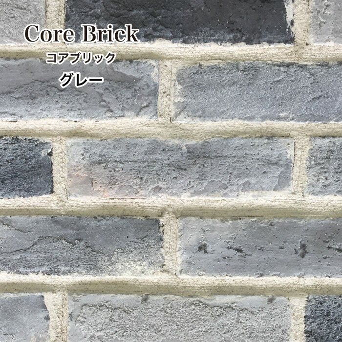 コアブリック 全色 ケース