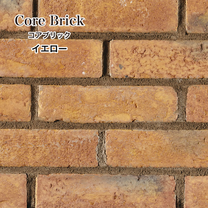 コアブリック 全色 ケース