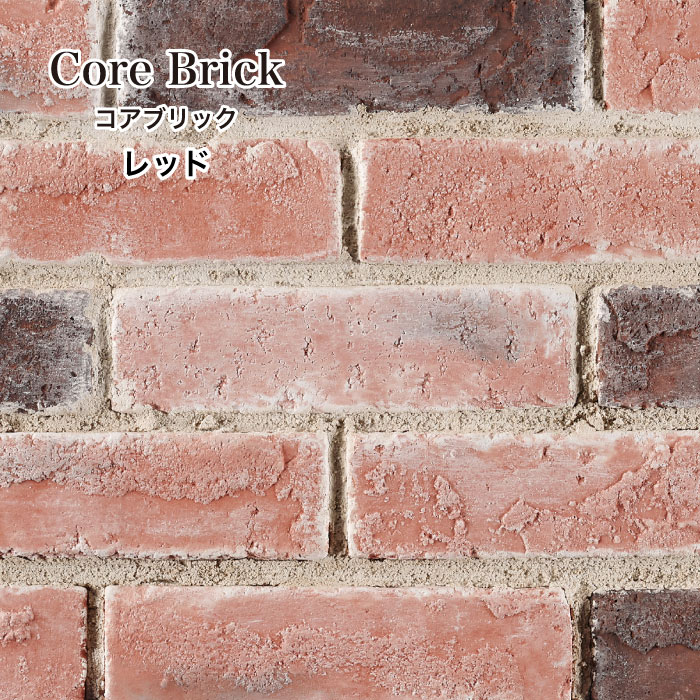 コアブリック 全色 ケース