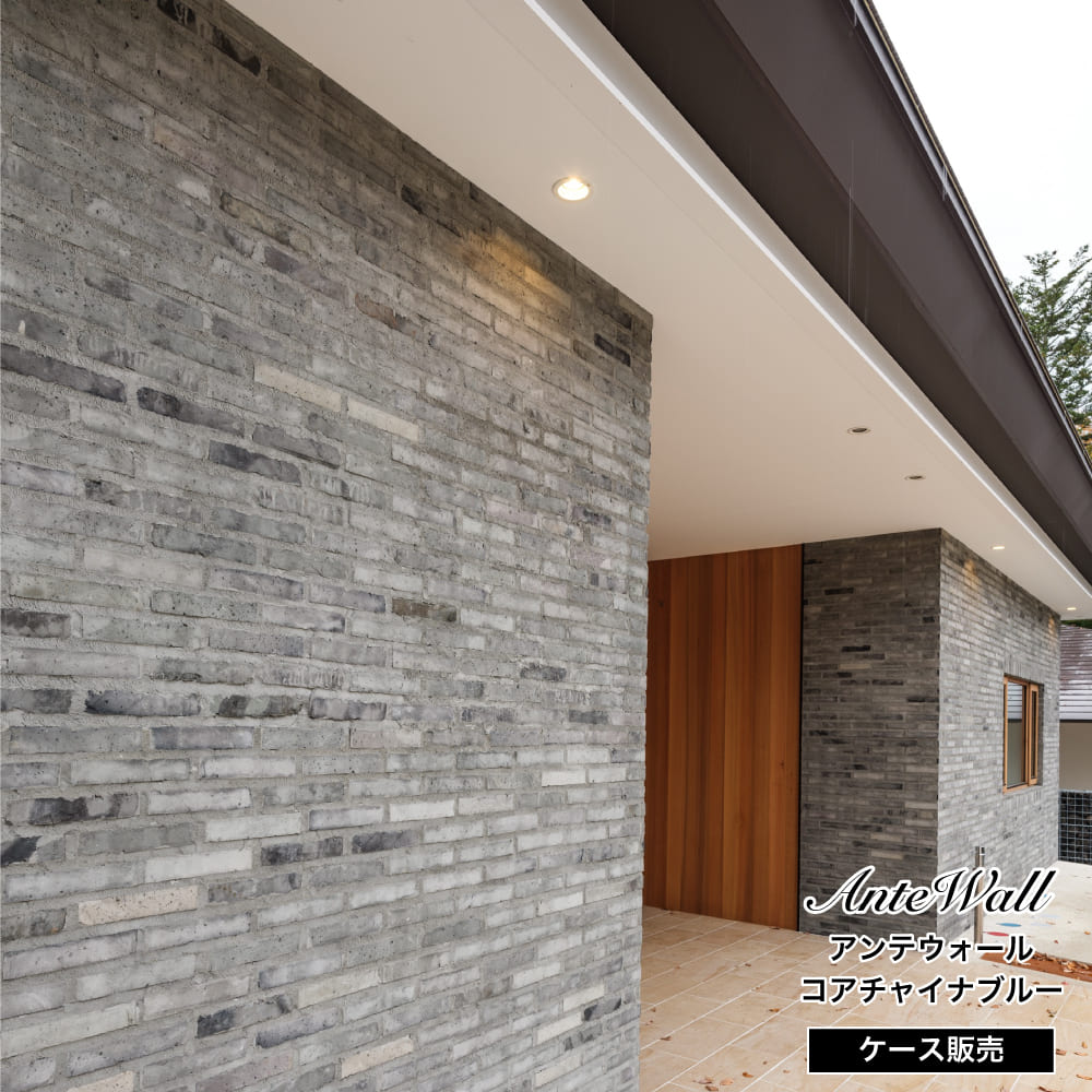 アンテウォール  コアチャイナブルー　ケース