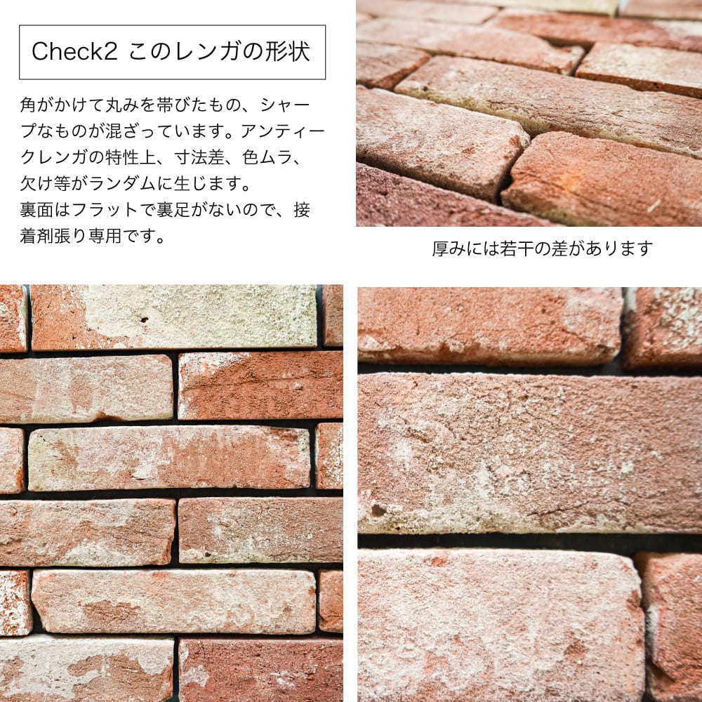 アンテウォール　ケース　1301(40入) メーカー直送品