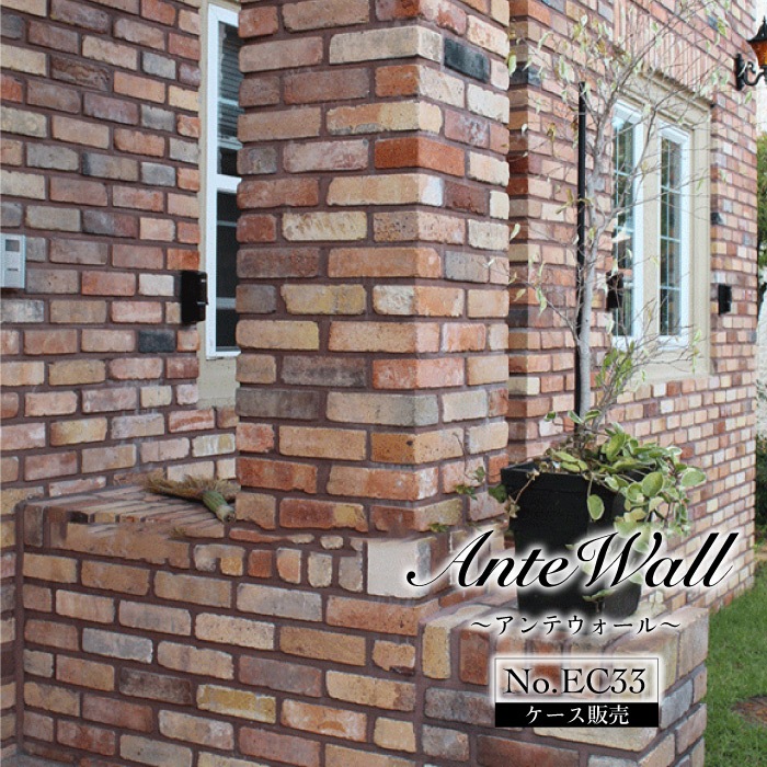アンテウォール EC33 ケース(36入)