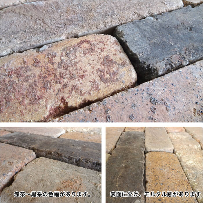 アンテウォール EC33 ケース(36入)