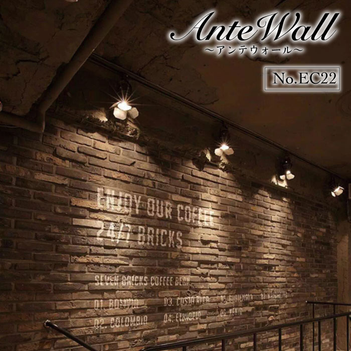 アンテウォール EC22 ケース(30入)