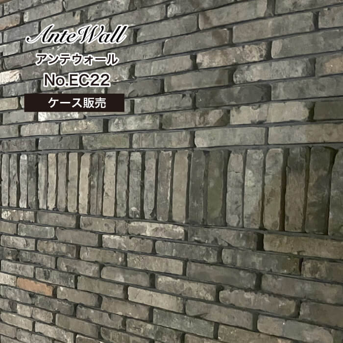 アンテウォール EC22 ケース(30入)