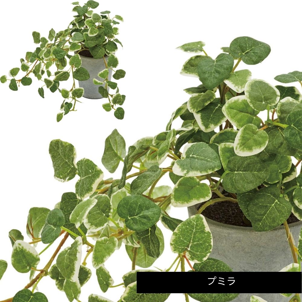 セメントポットミニプランツＭサイズ