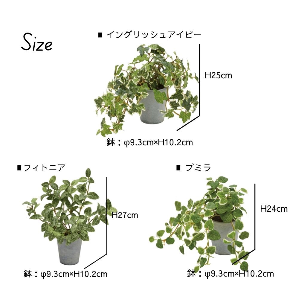 セメントポットミニプランツＭサイズ