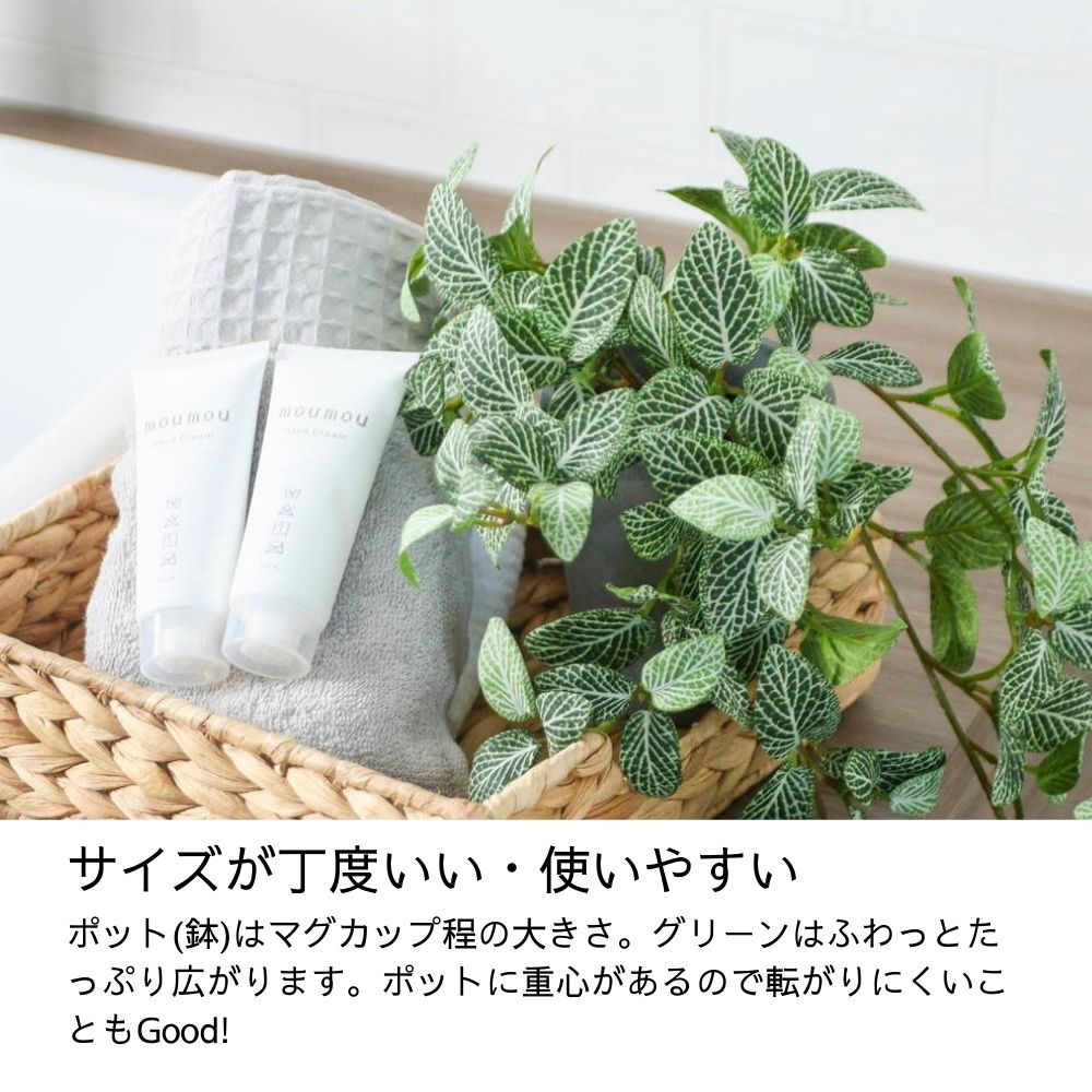 セメントポットミニプランツＭサイズ